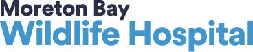 Moreton Bay Wildlife Hospital Logo