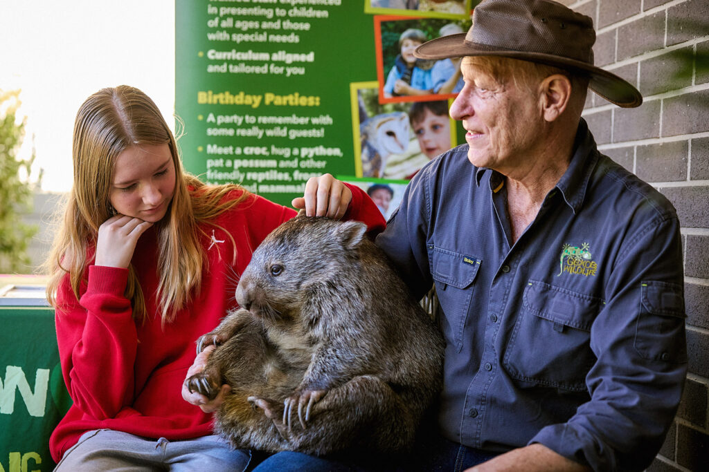 A man in a hat and a girl in a red sweatshirt sit together, gently petting a large wombat on the man's lap. They are seated indoors near informational posters about animals and parties.